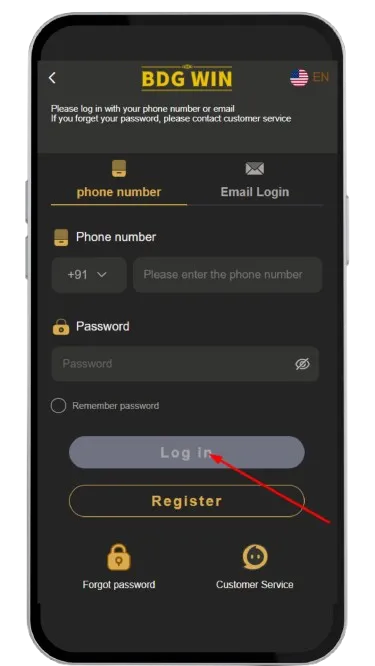 Click on Login Button